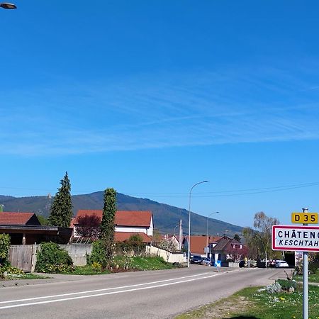 Gite Le Marronnier - Au Calme - Parking & Terrasse - Pres De Colmar Et Riquewihr - Route Des Vins Châtenois Exterior foto