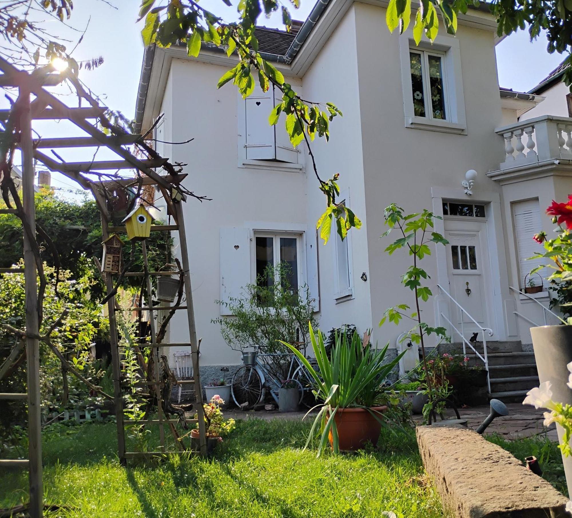 Gite Le Marronnier - Au Calme - Parking & Terrasse - Pres De Colmar Et Riquewihr - Route Des Vins Châtenois Exterior foto