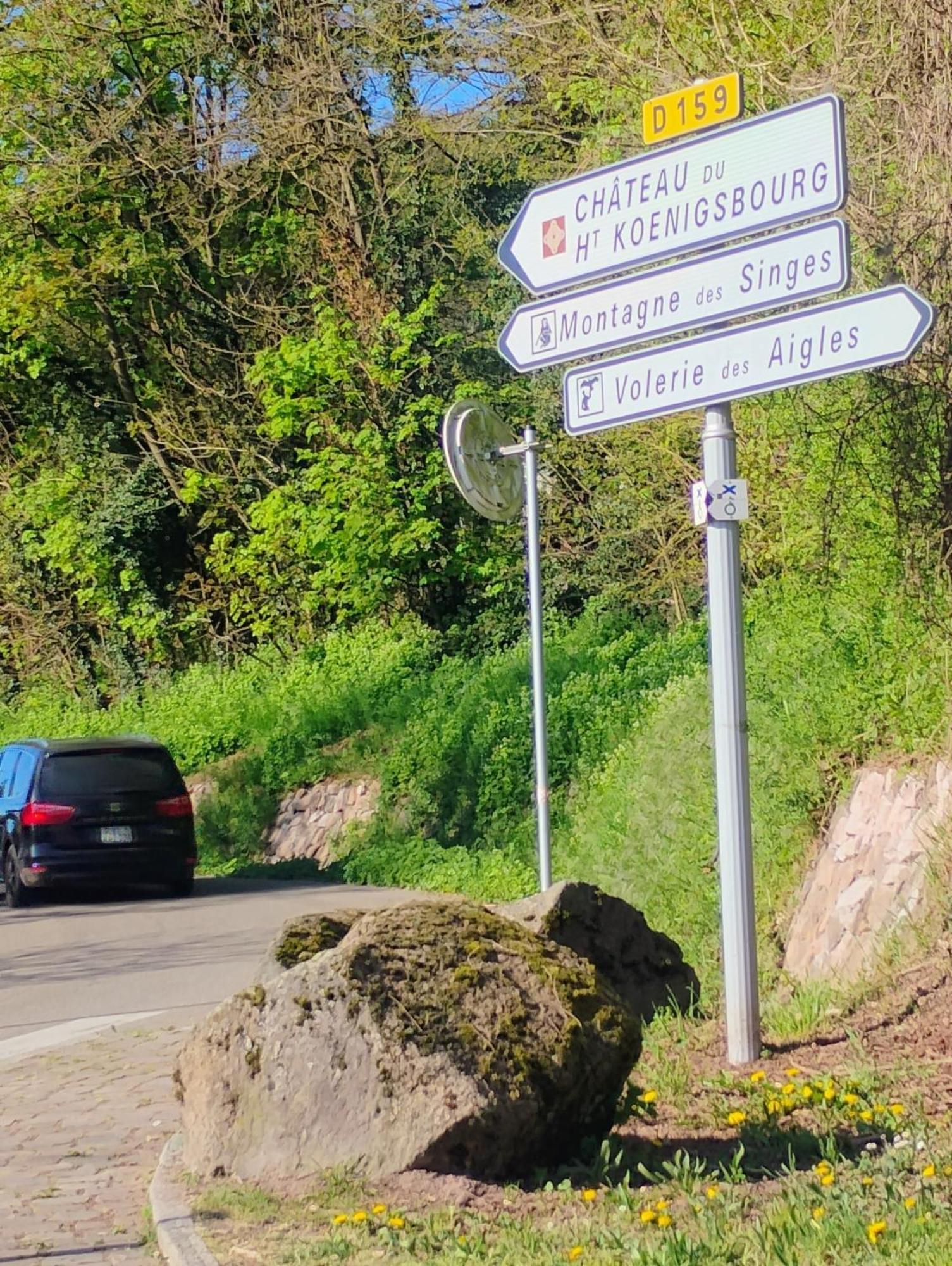 Gite Le Marronnier - Au Calme - Parking & Terrasse - Pres De Colmar Et Riquewihr - Route Des Vins Châtenois Exterior foto